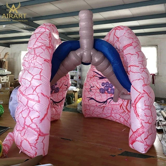 Inflatable Lung Display High Quality Advertising Inflatable Lung Arch Tunnel Model Fireproofed ...
