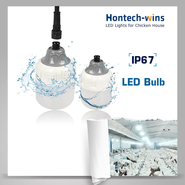 hontech unique design china poultry light supplier led poultry barn