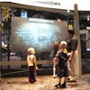 Digital Holographic Screen 3D Holographic Projection For 3D Hologram Show