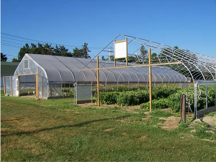 Greenhouse 1.png