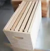 5 Frames bee hive, Langstroth style beekeeping box for queen/ King bees