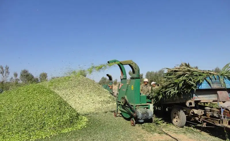 grass grinding machine