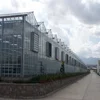 6 Types of Commercial Venlo Multi span Glass Greenhouses for sales