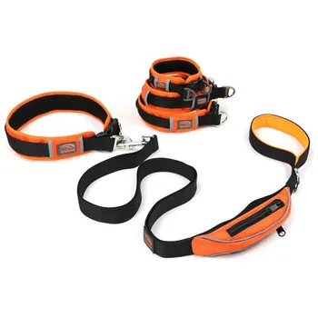 metal clasp dog collars