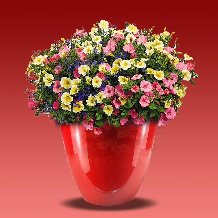 Colorful Square Indoor Outdoor Plants Decorative Garden Plastic Flower Pot Flowerpot Product On