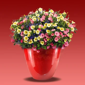 Colorful Square Indoor Outdoor Plants Decorative Garden Colorful Square Indoor Outdoor Plants Decorative Garden Plastic Flower Pot