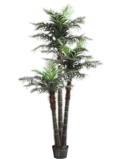 Miniature Pohon Kelapa Tinggi Cm - 350 Cm Tinggi Pohon Kelapa Tiga Batang Simulasi Tinggi miniature pohon kelapa tinggi cm 350 cm tinggi pohon kelapa tiga batang simulasi tinggi