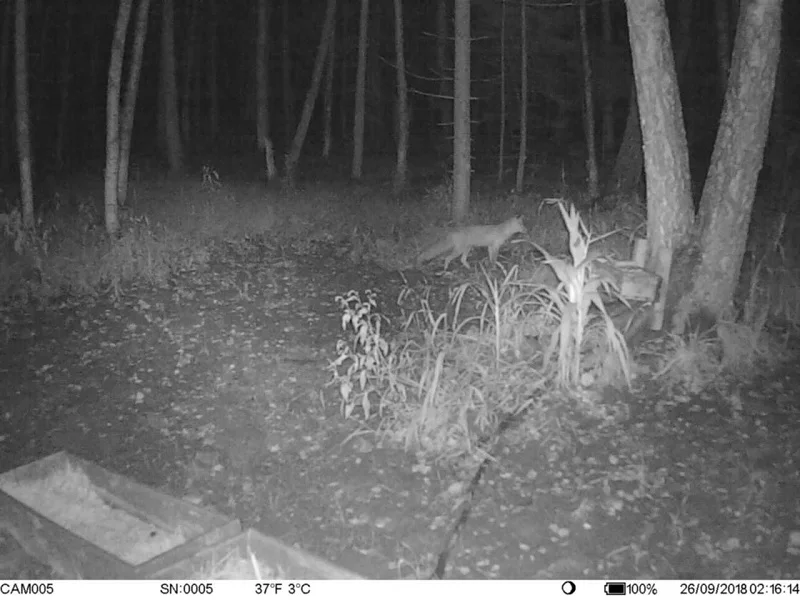 real photos 4g camera (6).jpg