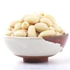 Common Cultivation Type blanched peanuts importers in middle east