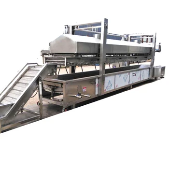 Continuous Conveyor Fryer,belt Fryer,gas And Electric Heating Belt Deep 