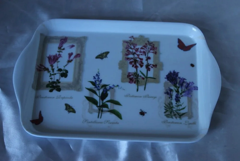8.2inch melamine tray