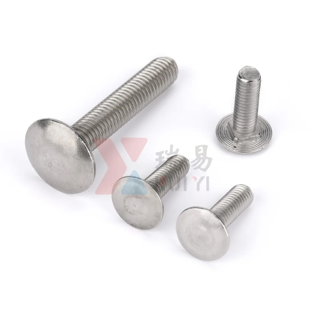 Ss Polishing Carriage Bolt Torque Washer Buy Ss Polishing Carriage