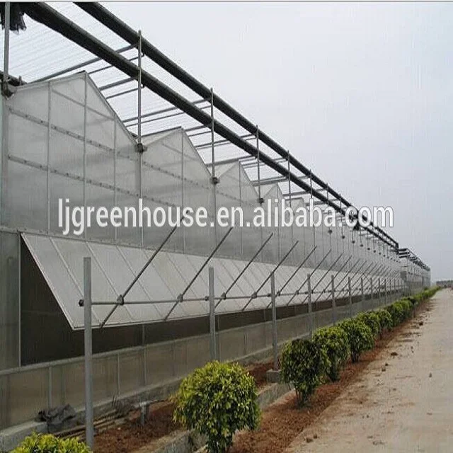 Polycarbonate Sheet Multi Span Greenhouse Buy Plastic Sheet Greenhouse