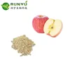 Manufacturer supply Free sample Natural 100% Apple extract Powder apple polyphenol, Phlorizin, Phloretin