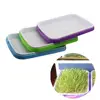 /product-detail/home-kitchen-diy-bean-sprouts-culture-plastic-tray-3-colors-hydroponics-seed-tray-60787310671.html