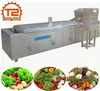 Continuous Belt Blanching and Cooking Machine