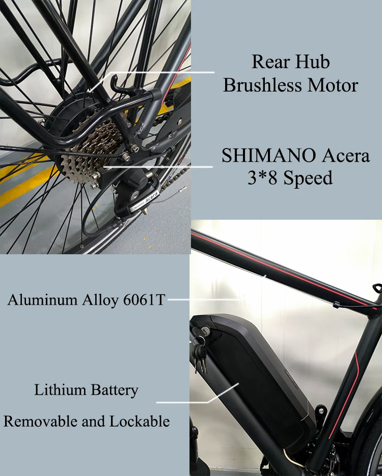 OEM CE EN15194 Electric Bike