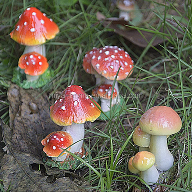 mushroom umbrella