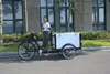 2017 3 wheel ice cream cargo bike for adult cofe trike