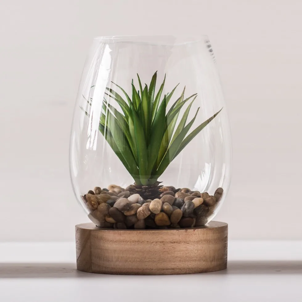 Vase En Verre Transparent Ovale,Terrarium Avec Base En Bois Pour