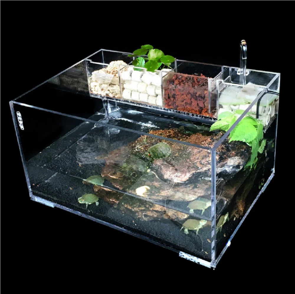 Wall Mounted Clear Beautiful Acrylic Barracuda Fish Tank With Divider ...