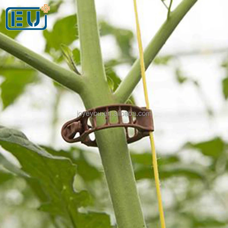 China Newest High Quality Plastic Grafting Vine Tomato Clip for tomato with High Quality