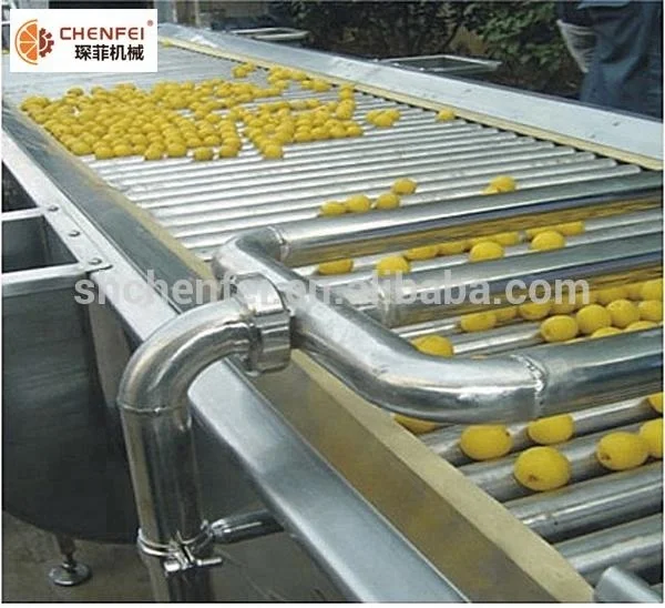 fruit-sorting-machine-rolling-rail-fruit-sorter.jpg