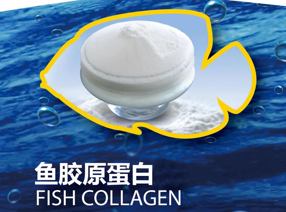 10 Years Experience Supply Fish Collagen Peptide Powder For Antiwrinkle Skin Whitening Fish Oil