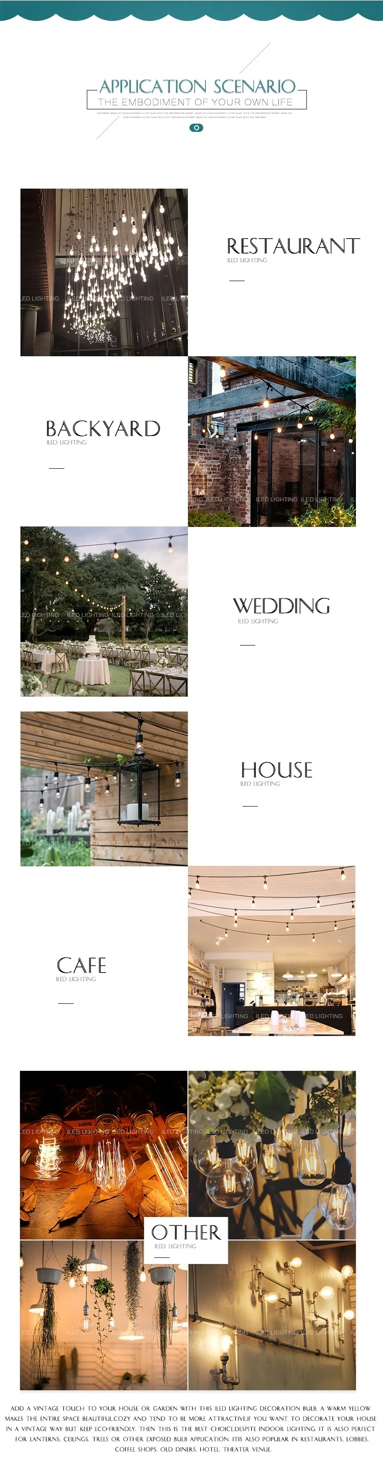 vintage led light bulb.jpg