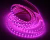 Newest model led strip lights home depot 60leds/m flat surface neon strip light RGB 24V diffuse led strip light