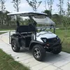 /product-detail/450cc-200cc-4-stroke-utv-golf-cart-60636626871.html