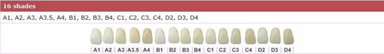 16 shades.jpg