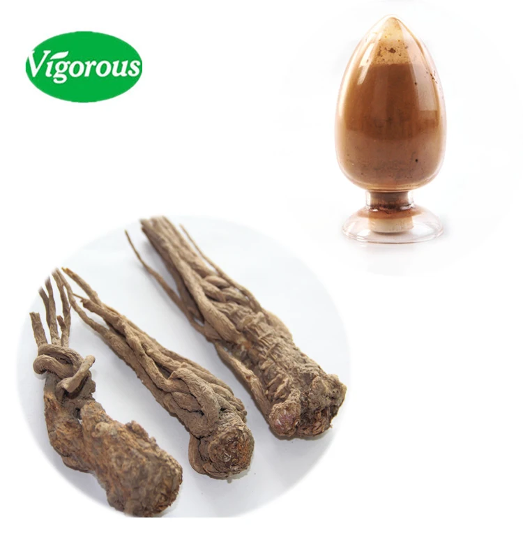Gmp Natural Angelica Sinensis Root 1 Ligustilide Dong Quai Extract 