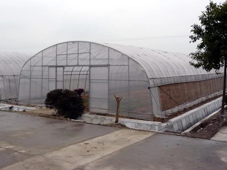 High Quality Steel Structure And Long Service Life Used Greenhouse