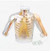 Upper-arm injection training,Advanced upper-arm Intramuscular Injection and Contrastive Model- with a detection warning system