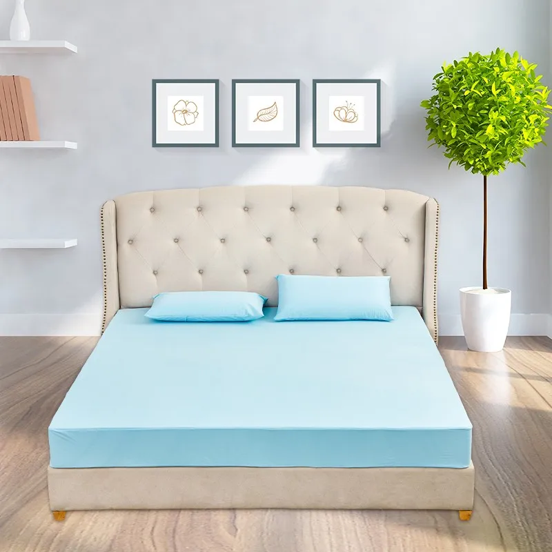 Bed Bug Waterproof Bed Protector Zippered Mattress Encasement Buy