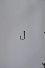 HTB1GXydKXXXXXcMXFXXq6xXFXXXd