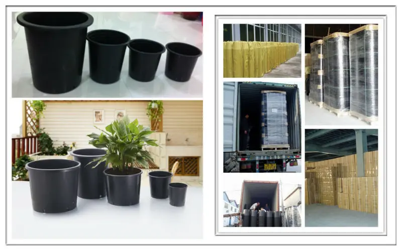 24,5cm Convient pour Intérieur et Extérieur Yangbaga Lot de 5 Pots de Fleurs en Plastique,Pots de Plantes en Plastique Rond avec Plateau Bureau,Jardin Maison
