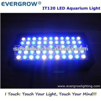 dsuny led aquarium light