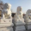 /product-detail/outdoor-feng-shui-natural-marble-stone-fu-dog-statue-mold-for-sale-62039883200.html