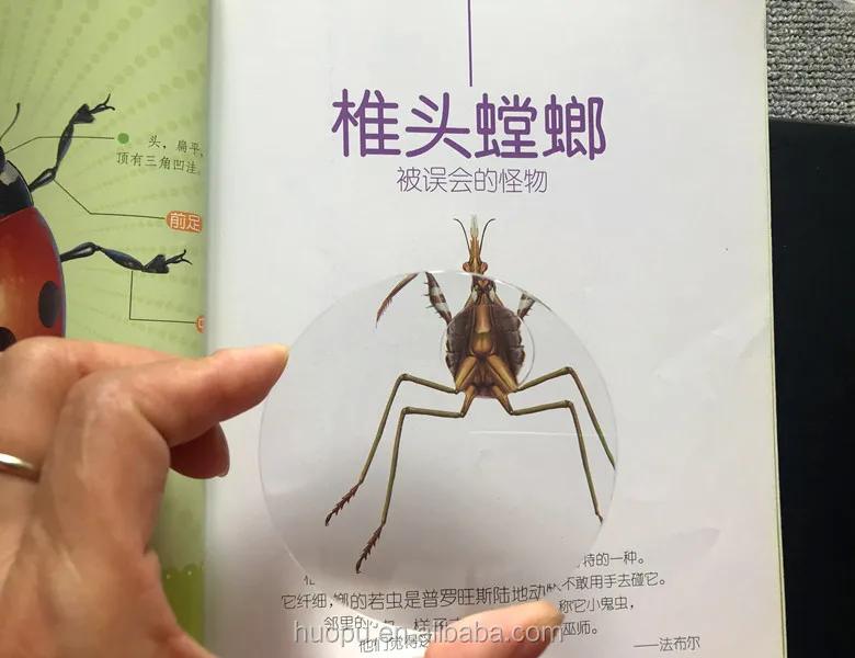 75mm biconvex lens (6).JPG