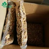 Fresh Style Moldova Walnuts kernels