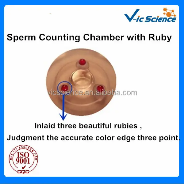Sperm Counting Chamber.jpg