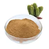 Wholesale Cactus extract powder 99% EP standards Capsule form and Tablet form
