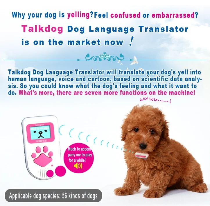 will there ever be a dog translator