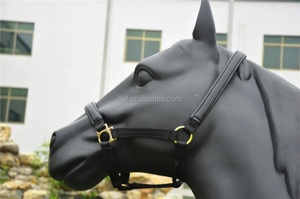 Horse Product Horse Equipment Equestrian Equipment Buy Horse