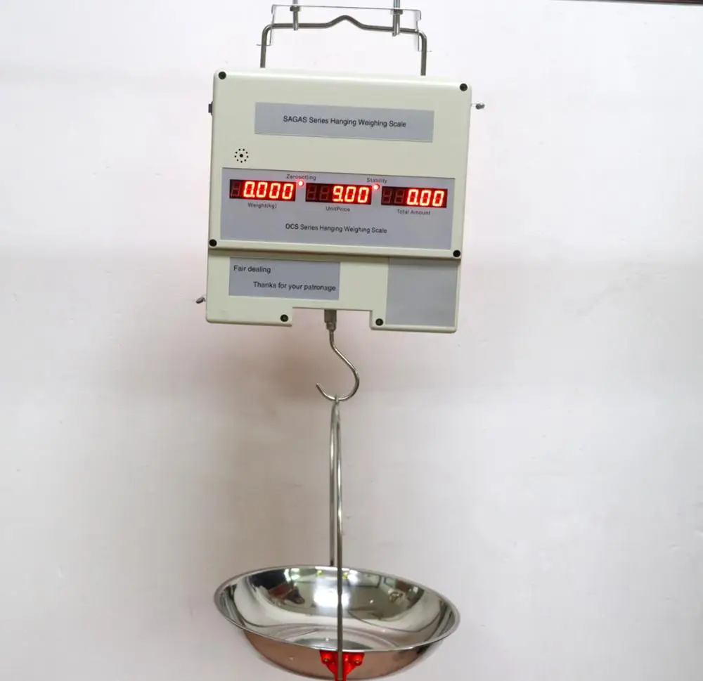 Electronic Weighing Scale Digital Weigh Computing Scale - China