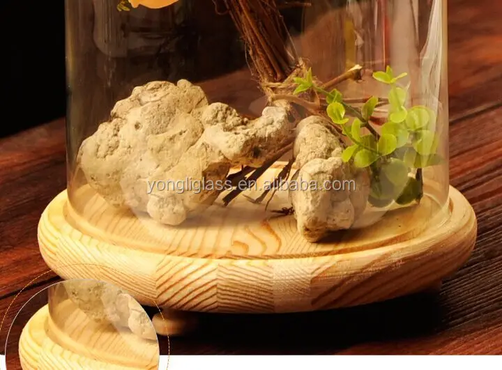 Hot sale micro landscape glass cover with wooden base for home decoration, elegent glass dome, fancy glass gifts