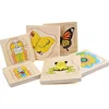 Growth Process Multilayer Cognitive Toy Creative Process 3D Layer Educational Wooden Puzzle