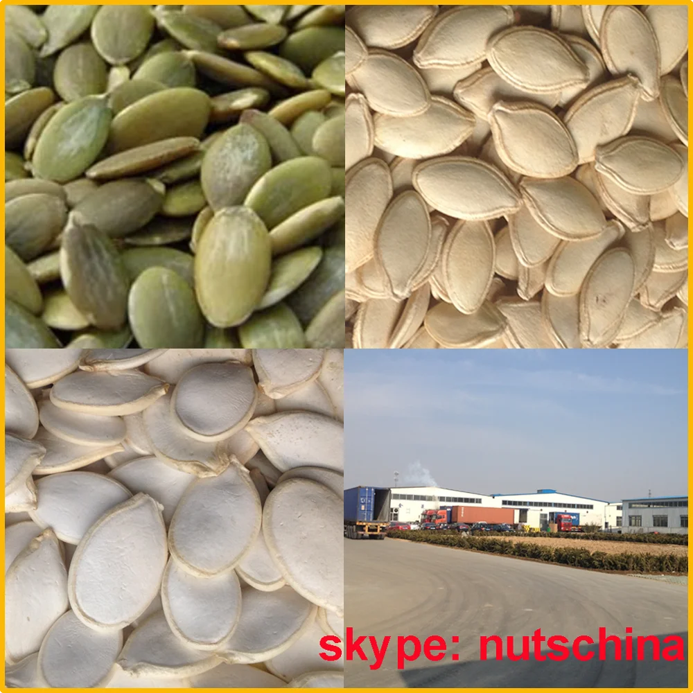 Organic Dark Green Pumpkin Seeds Gws(grown Without Shell) Aaa/aa / A